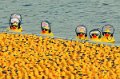 Maschsee13   720